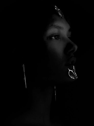 Noblesse mouth guard