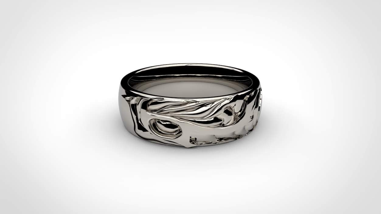 CHRYSALIS BAND