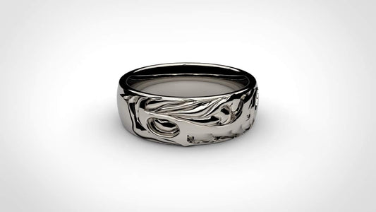 CHRYSALIS BAND